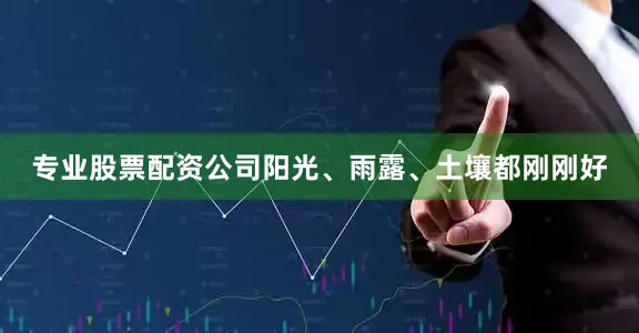 专业股票配资公司阳光、雨露、土壤都刚刚好