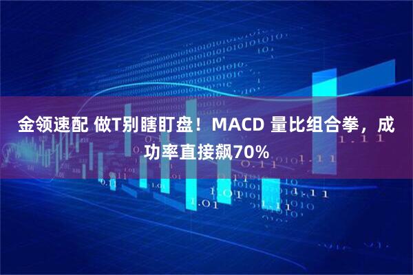 金领速配 做T别瞎盯盘！MACD 量比组合拳，成功率直接飙70%