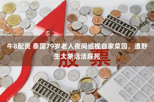 牛8配资 泰国79岁老人夜间巡视自家菜园，遭野生大象活活踩死