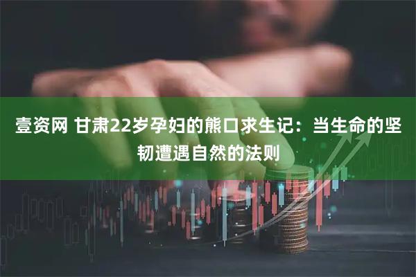 壹资网 甘肃22岁孕妇的熊口求生记：当生命的坚韧遭遇自然的法则