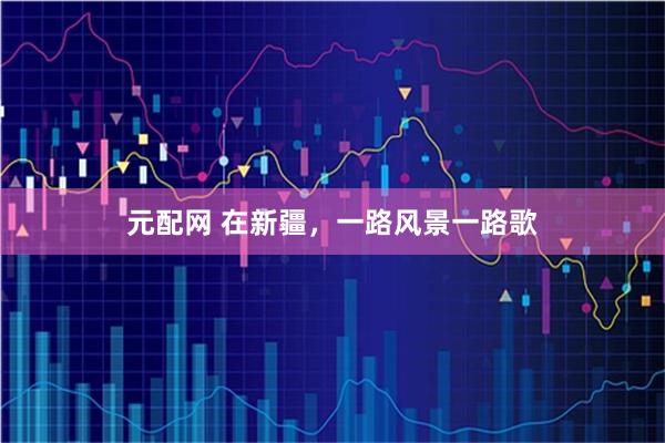 元配网 在新疆，一路风景一路歌