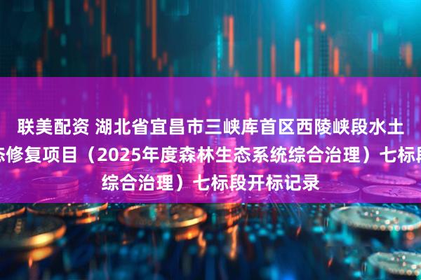 联美配资 湖北省宜昌市三峡库首区西陵峡段水土保持与生态修复项目（2025年度森林生态系统综合治理）七标段开标记录