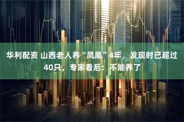 华利配资 山西老人养“凤凰”4年，发现时已超过40只，专家看后：不能养了
