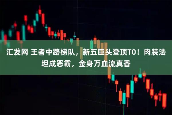 汇发网 王者中路梯队，新五巨头登顶T0！肉装法坦成恶霸，金身万血流真香