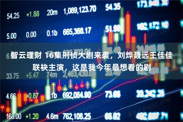 智云理财 16集刑侦大剧来袭，刘烨聂远王佳佳联袂主演，这是我今年最想看的剧