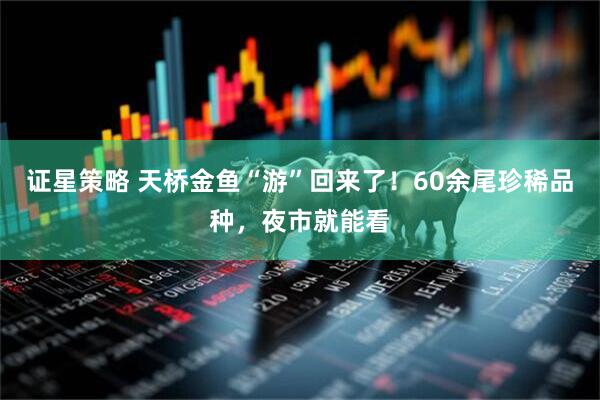 证星策略 天桥金鱼“游”回来了！60余尾珍稀品种，夜市就能看