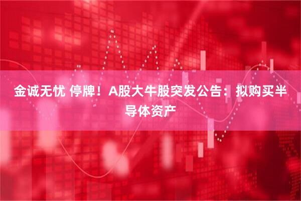 金诚无忧 停牌！A股大牛股突发公告：拟购买半导体资产