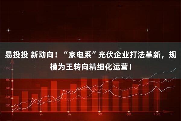 易投投 新动向!“家电系”光伏企业打法革新,规模为王转向精细化运营!